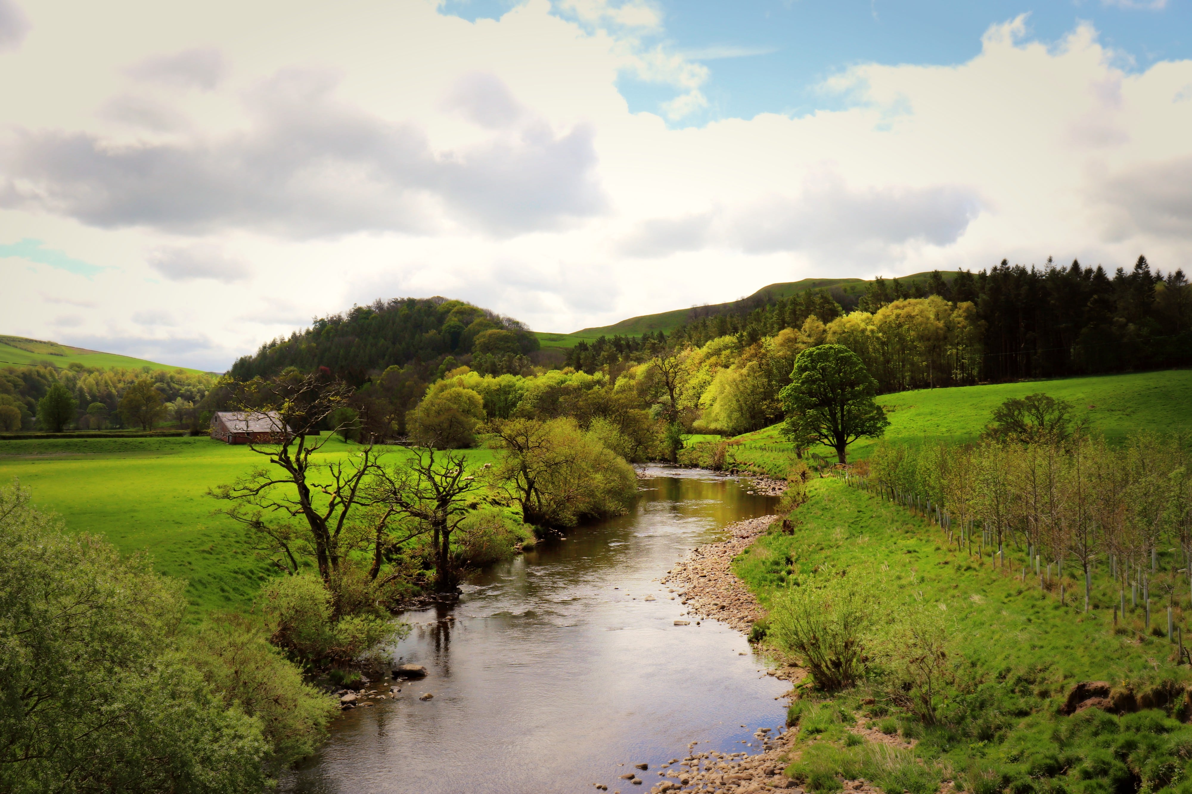 Bowland Trail Half