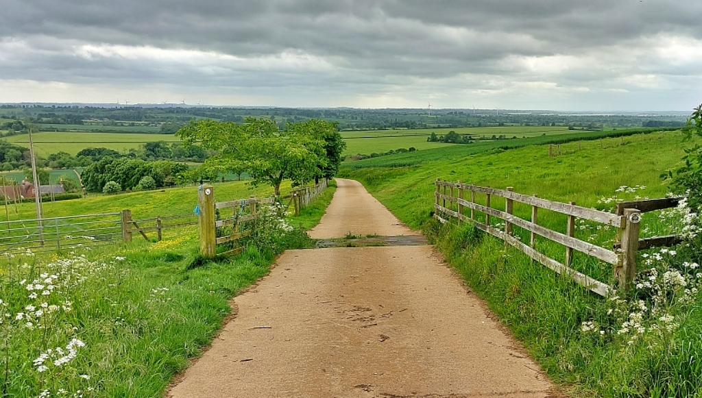 Foxton Hound - 50km