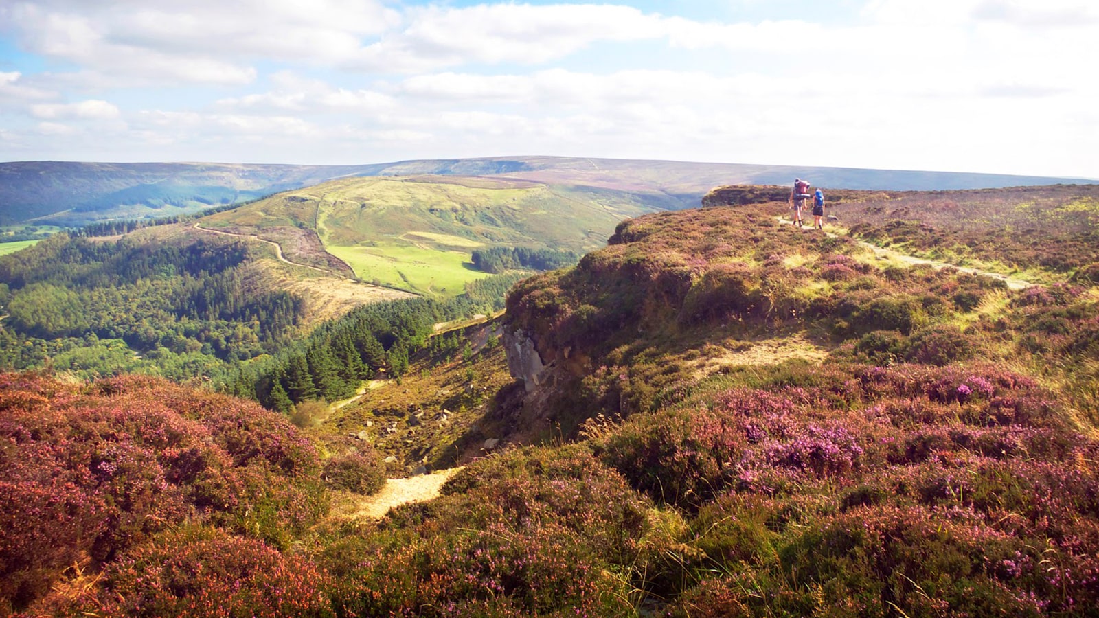 Wold Rangers Way Ultra